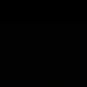 Meet your Posher, Perla